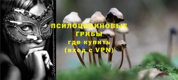 ГАЛЛЮЦИНОГЕННЫЕ ГРИБЫ Арсеньев