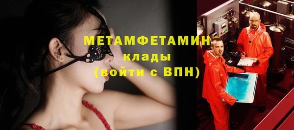 хмурый Аркадак