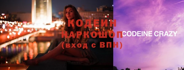 ГАЛЛЮЦИНОГЕННЫЕ ГРИБЫ Арсеньев