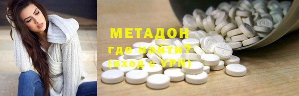 хмурый Аркадак