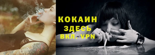 ГАЛЛЮЦИНОГЕННЫЕ ГРИБЫ Арсеньев
