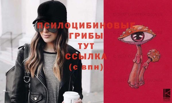ГАЛЛЮЦИНОГЕННЫЕ ГРИБЫ Арсеньев