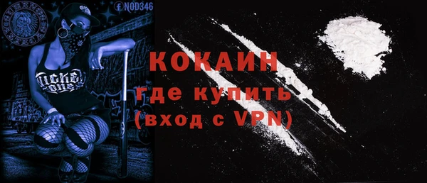 ГАЛЛЮЦИНОГЕННЫЕ ГРИБЫ Арсеньев