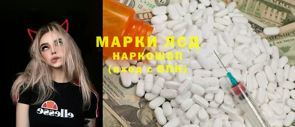 ГАЛЛЮЦИНОГЕННЫЕ ГРИБЫ Арсеньев