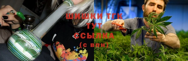 ГАЛЛЮЦИНОГЕННЫЕ ГРИБЫ Арсеньев