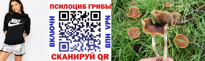 цена наркотик  МЕГА как зайти  Галлюциногенные грибы мицелий  Сретенск 