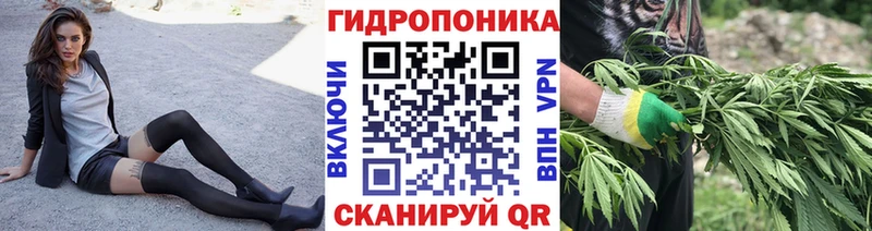 Шишки марихуана ГИДРОПОН  магазин продажи наркотиков  Сретенск 